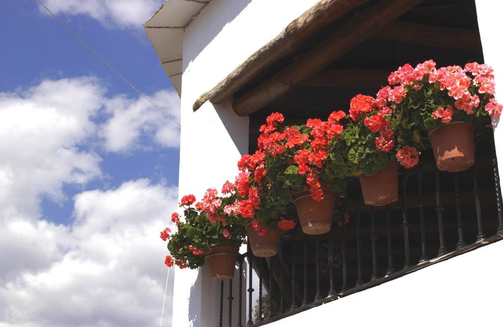 macetas en las ventanas de una casa en la Alpujarra